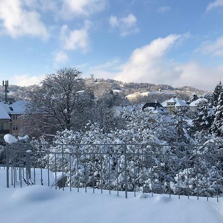 Stadtoase Mit Traumhaftem Ausblick Linz Extérieur photo